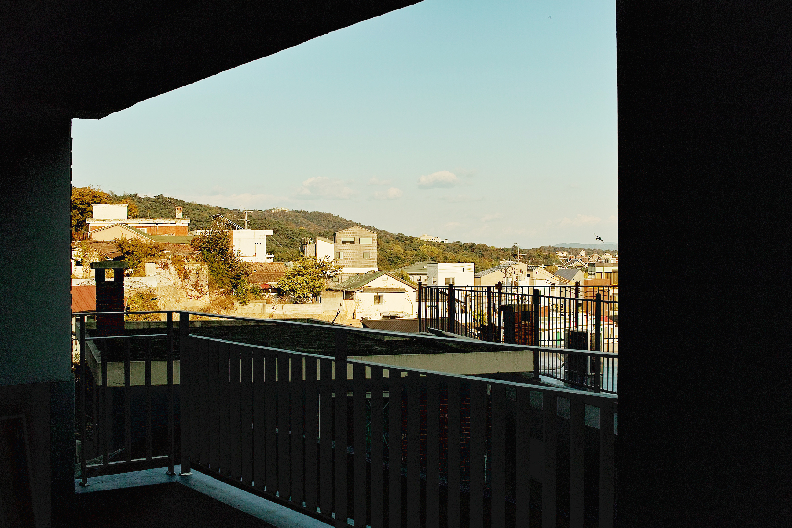 SDIM0137.jpg